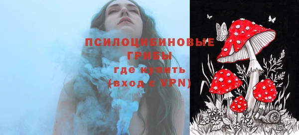 дмт Магадан